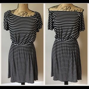 Ann Taylor LOFT Dress M Petite Stretch Black White